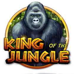 max gaming casino how to bet on cricket in india